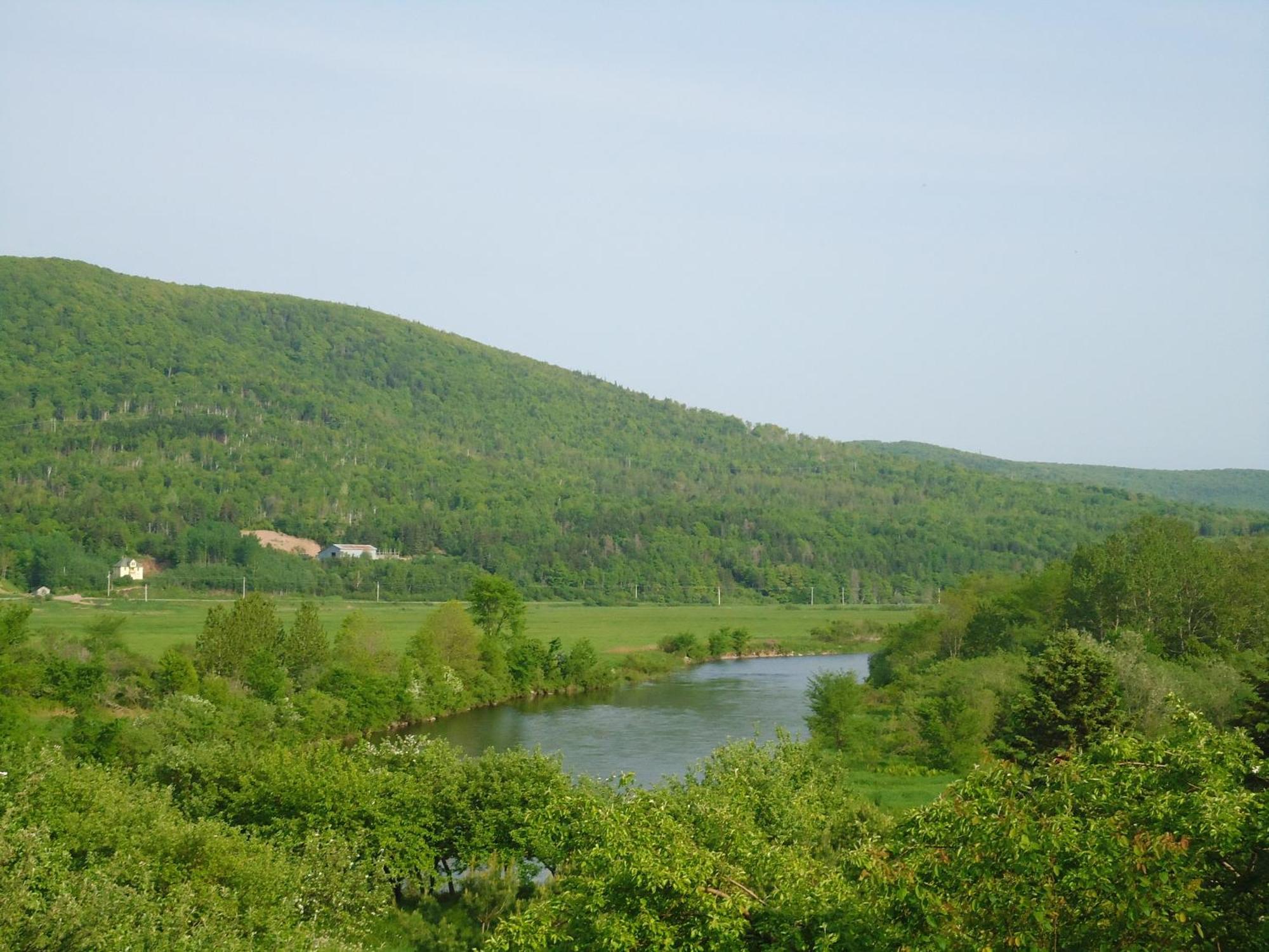 Cajun Cedar Log Cottages Margaree Forks Zewnętrze zdjęcie