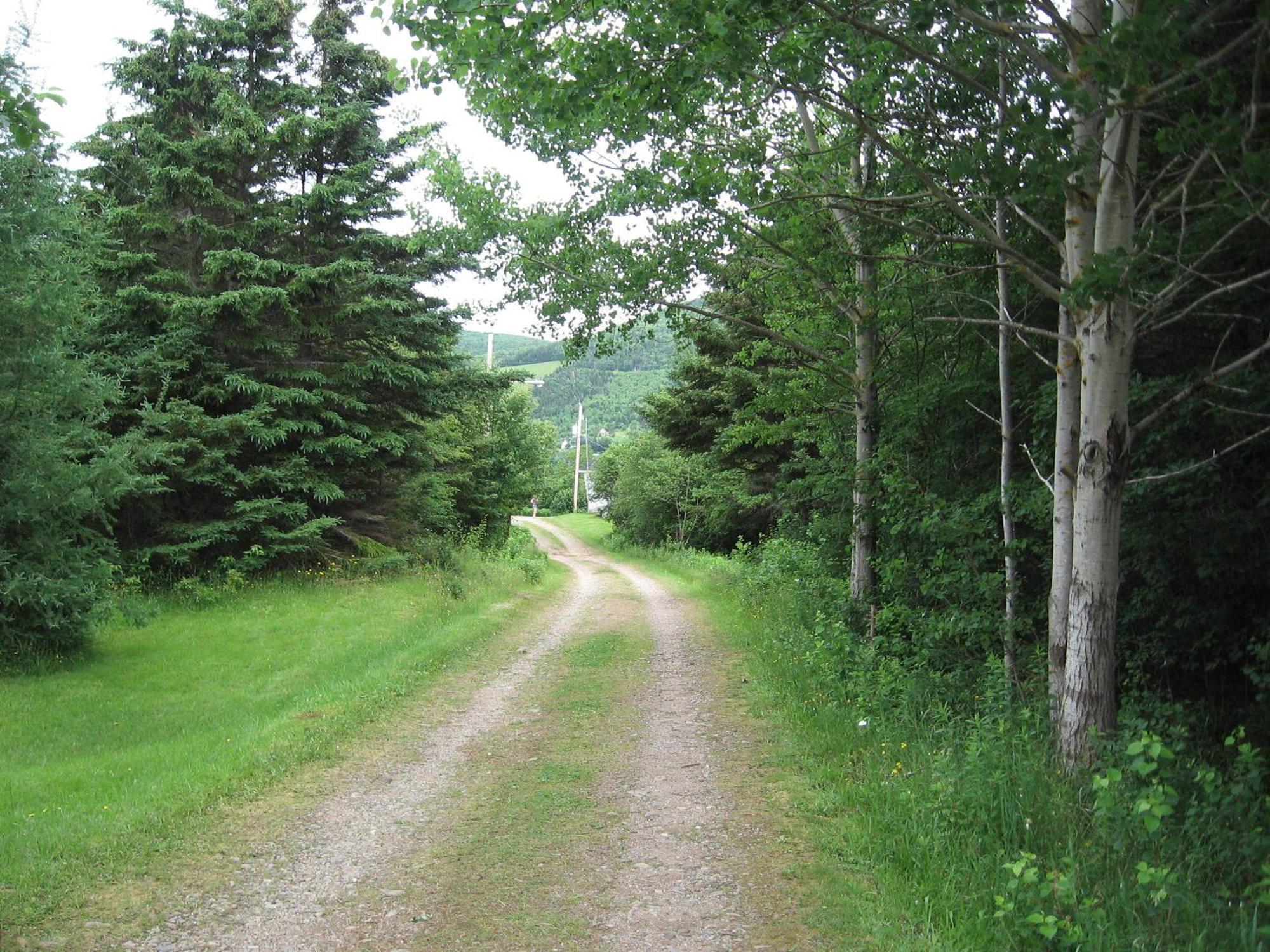 Cajun Cedar Log Cottages Margaree Forks Zewnętrze zdjęcie