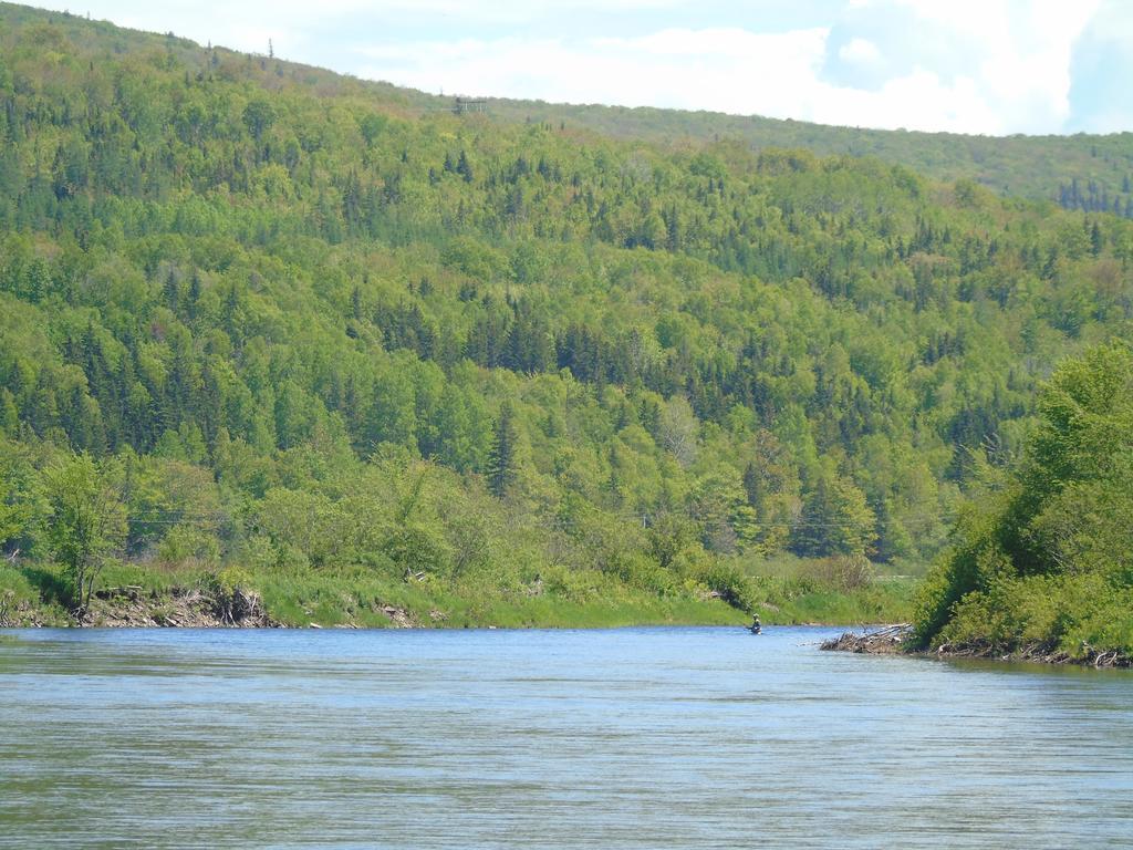 Cajun Cedar Log Cottages Margaree Forks Zewnętrze zdjęcie