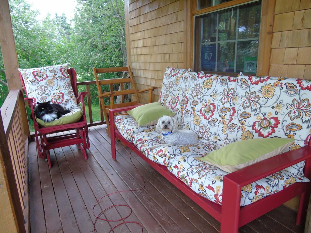 Cajun Cedar Log Cottages Margaree Forks Zewnętrze zdjęcie