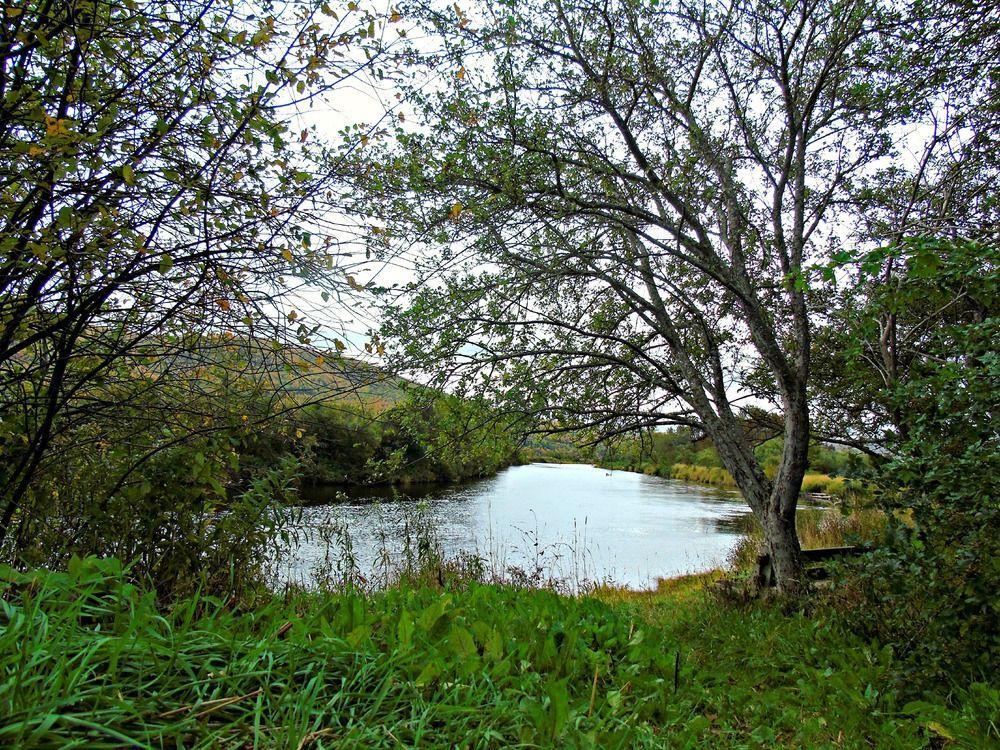 Cajun Cedar Log Cottages Margaree Forks Zewnętrze zdjęcie