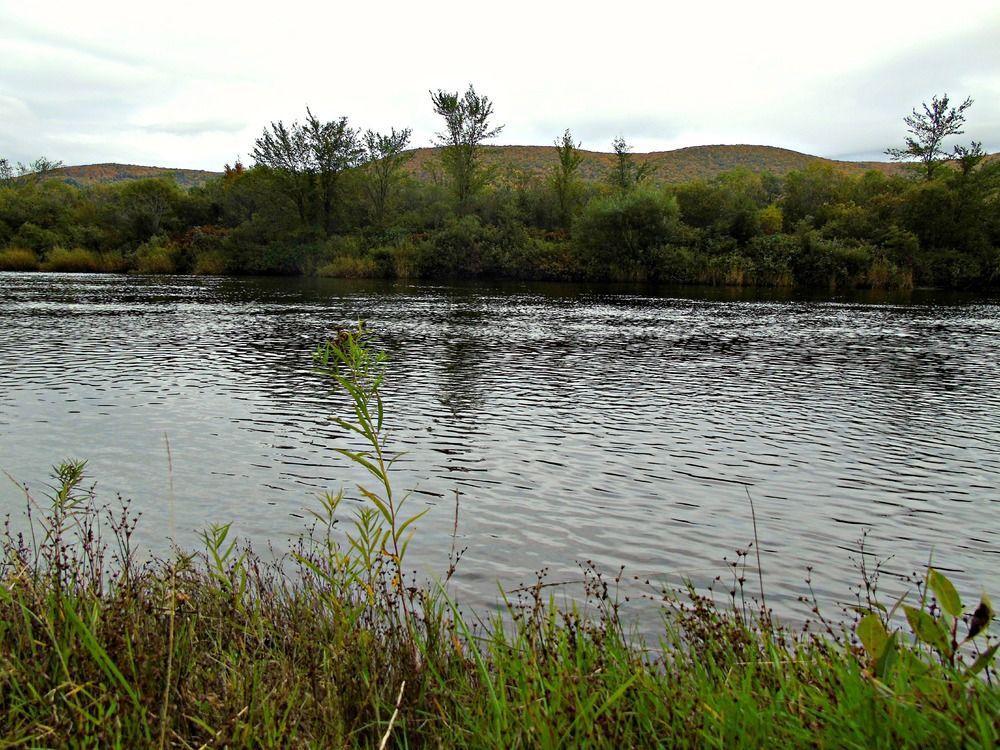 Cajun Cedar Log Cottages Margaree Forks Zewnętrze zdjęcie