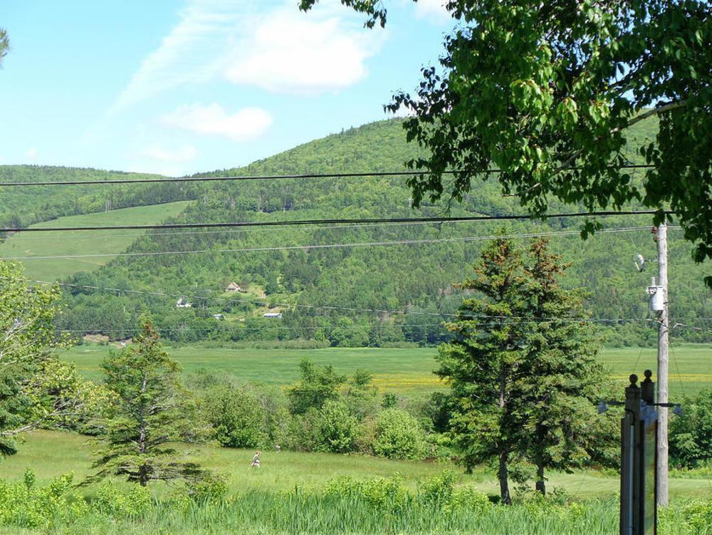 Cajun Cedar Log Cottages Margaree Forks Zewnętrze zdjęcie