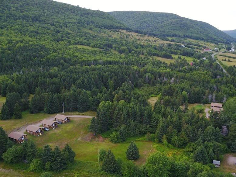 Cajun Cedar Log Cottages Margaree Forks Zewnętrze zdjęcie