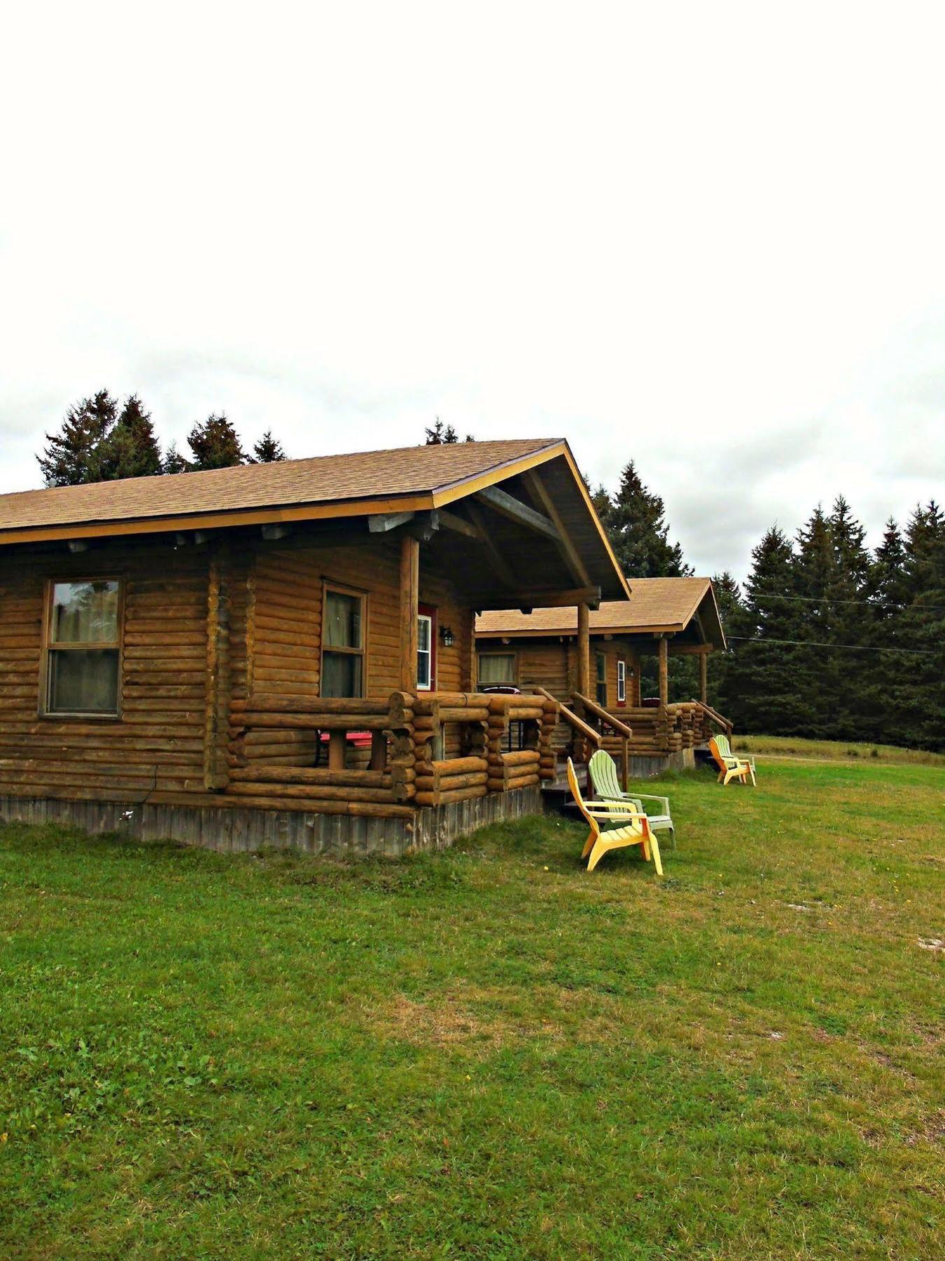 Cajun Cedar Log Cottages Margaree Forks Zewnętrze zdjęcie