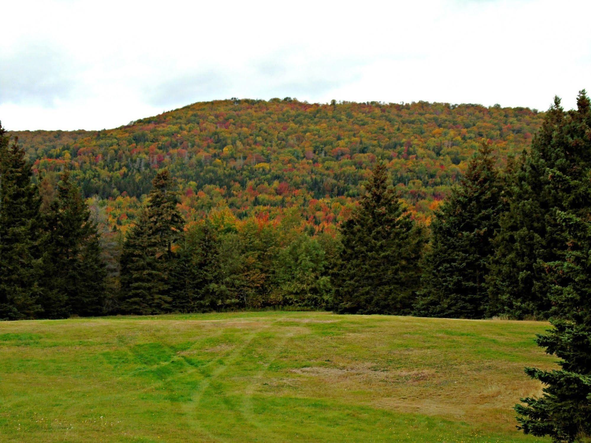 Cajun Cedar Log Cottages Margaree Forks Zewnętrze zdjęcie